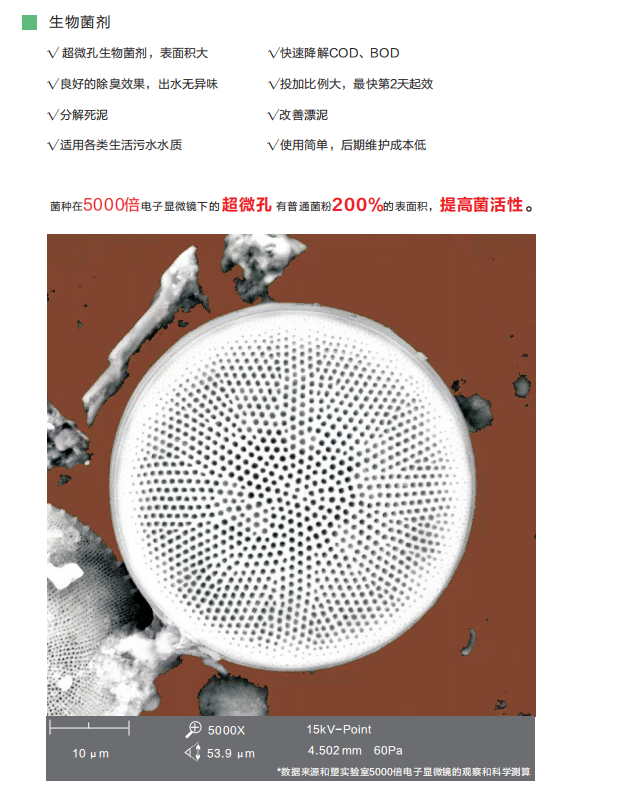 生活污水無(wú)害化與資源化技術(shù)